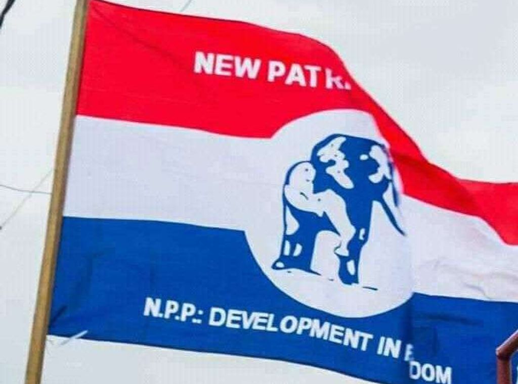 NPP delegates reject proposal to transfer polling station oversight to regional committees