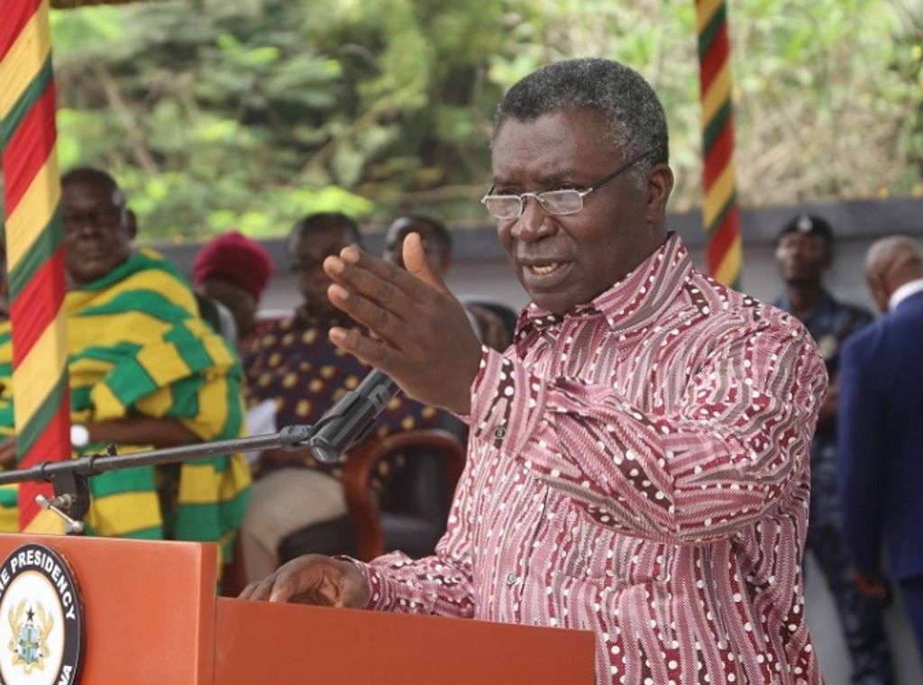Call for leadership restructuring in NPP After 2024 electoral defeat