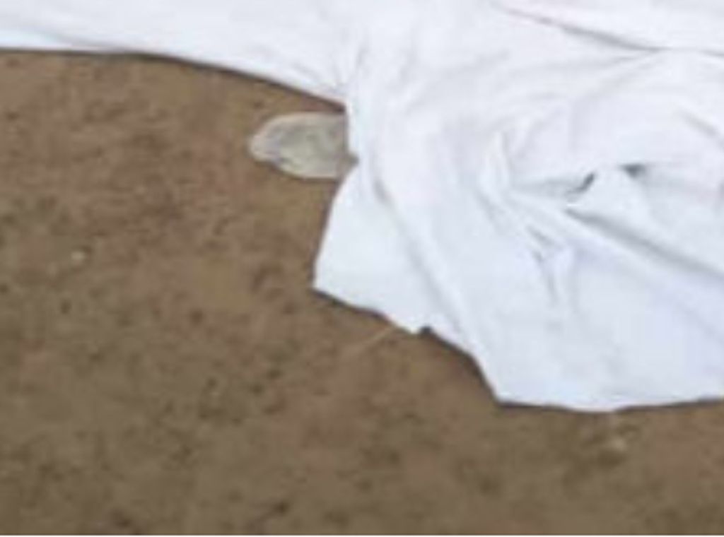 Fatal accident at Tema Harbour claims life of young importer