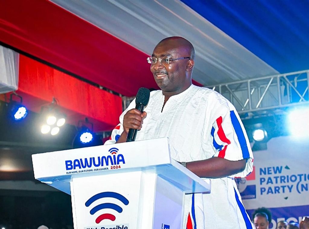 NPP urged to choose competent leader for 2028 elections