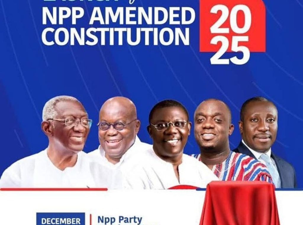 NPP revamps constitution to tackle election defeat