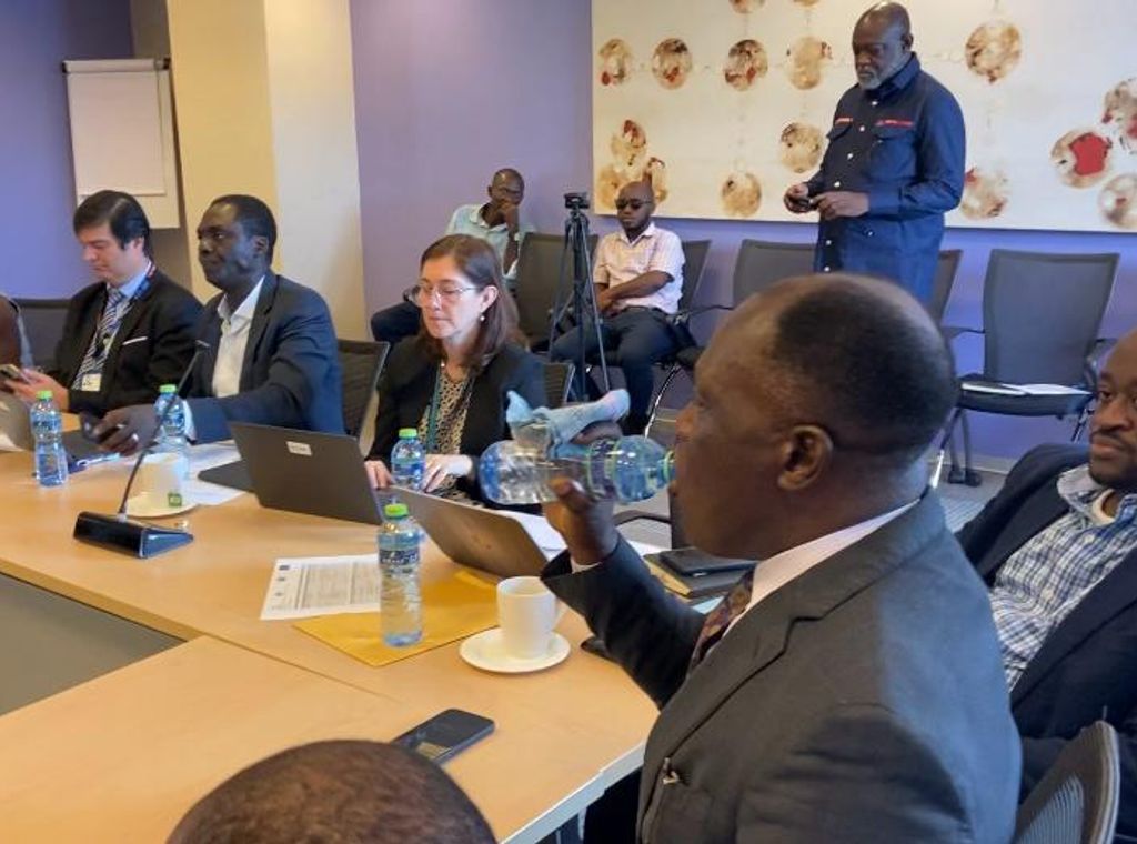 Government to operationalise fiscal council to enforce new fiscal rules