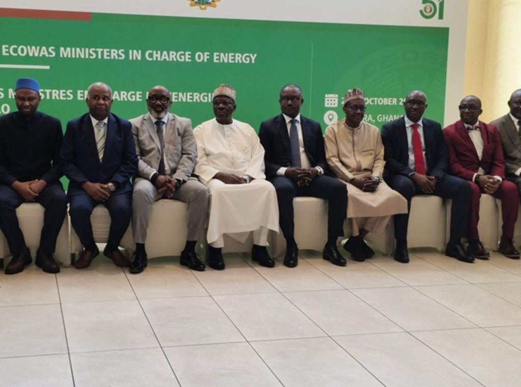 Ghana raises IPP payments from 40% to nearly 100% – Dr Jinapor discloses