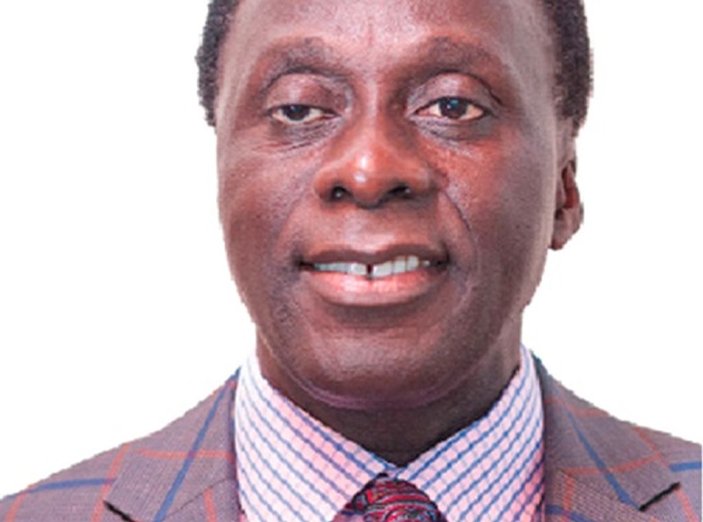 Environmentalist Nana Dwumo calls for united front against galamsey fight