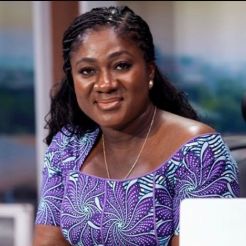 Akosua Manu slams Franklin Cudjoe’s defense of the government 