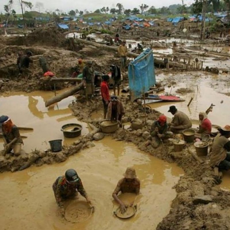 Illegal mining destroys fish farms in Fanteakwa South – Veterinary Officers sound alarm