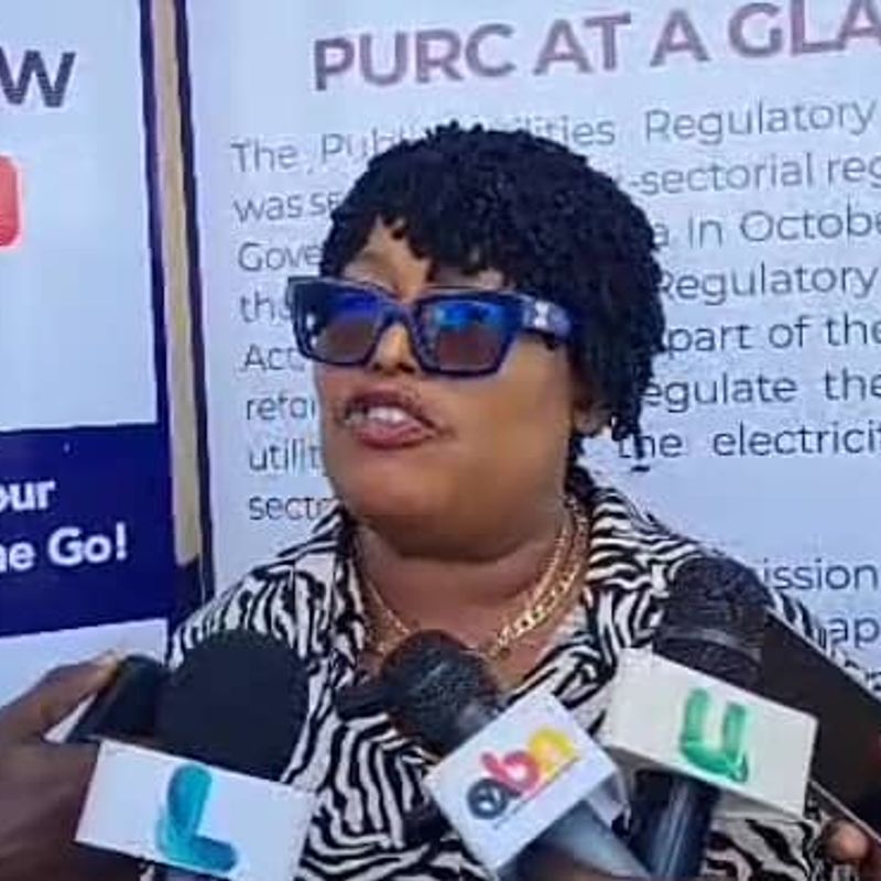 ECG defends proposed 225% increase in distribution charges amid consumer misunderstandings