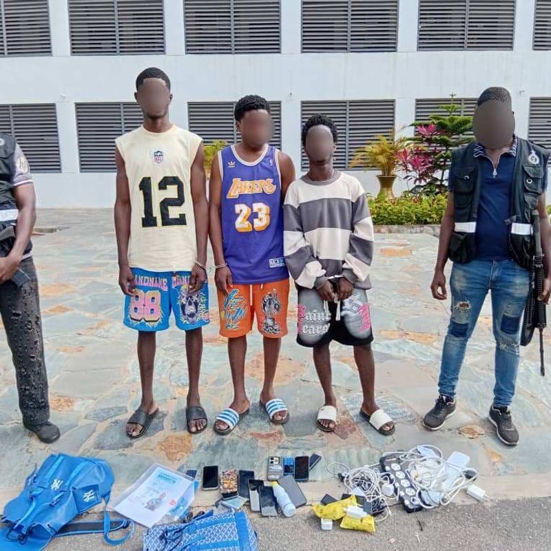 Police arrest ten suspects for creating fake online food delivery platforms 