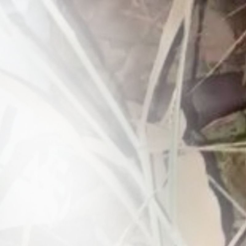 Two dead, one critically injured in violent gang clash at Mpaasaaso No 2