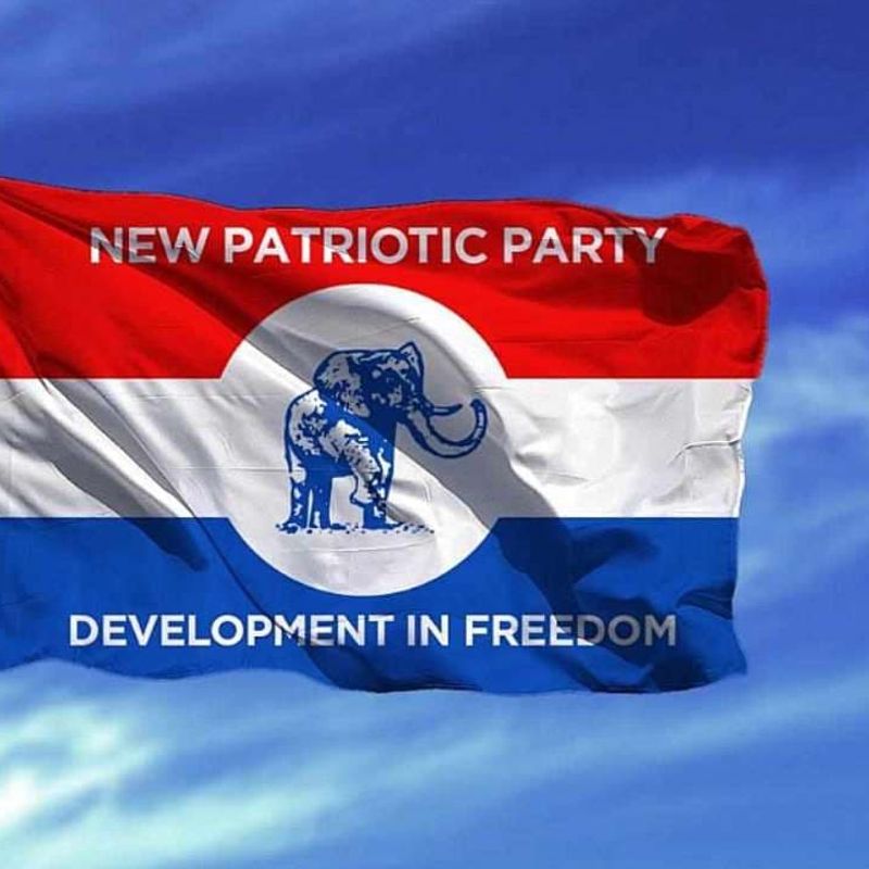 NPP's presidential committee chair rejects proxy voting