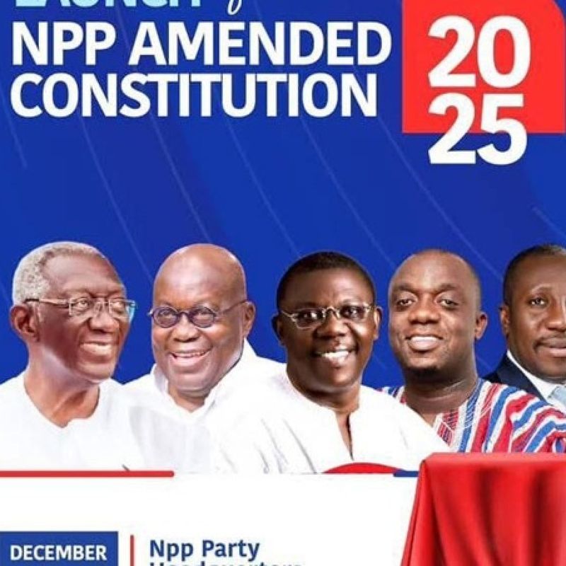 NPP revamps constitution to tackle election defeat