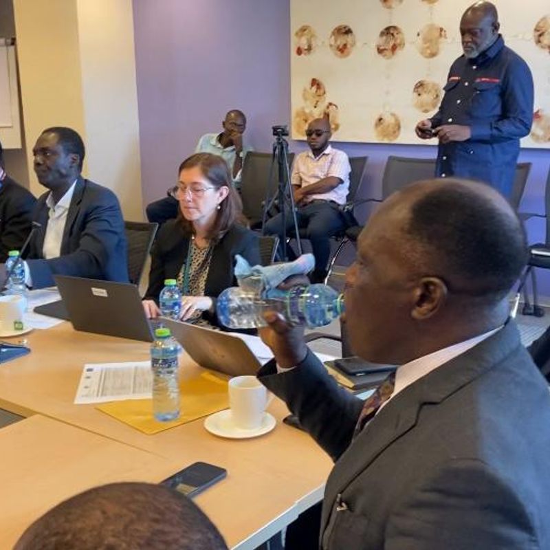 Government to operationalise fiscal council to enforce new fiscal rules