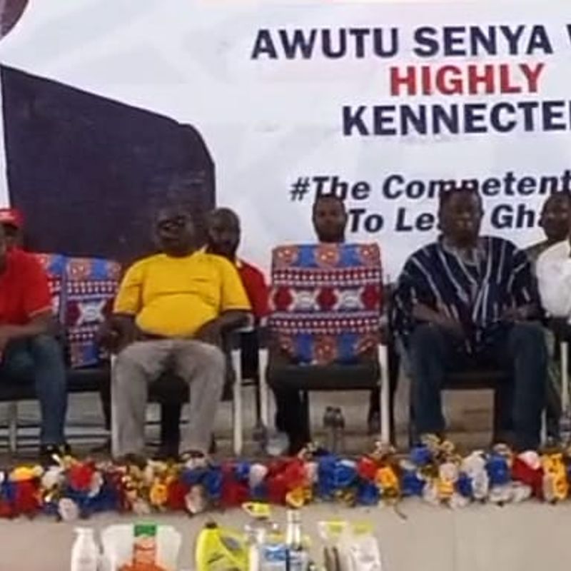 NPP urged to select strategic candidate for 2028 elections