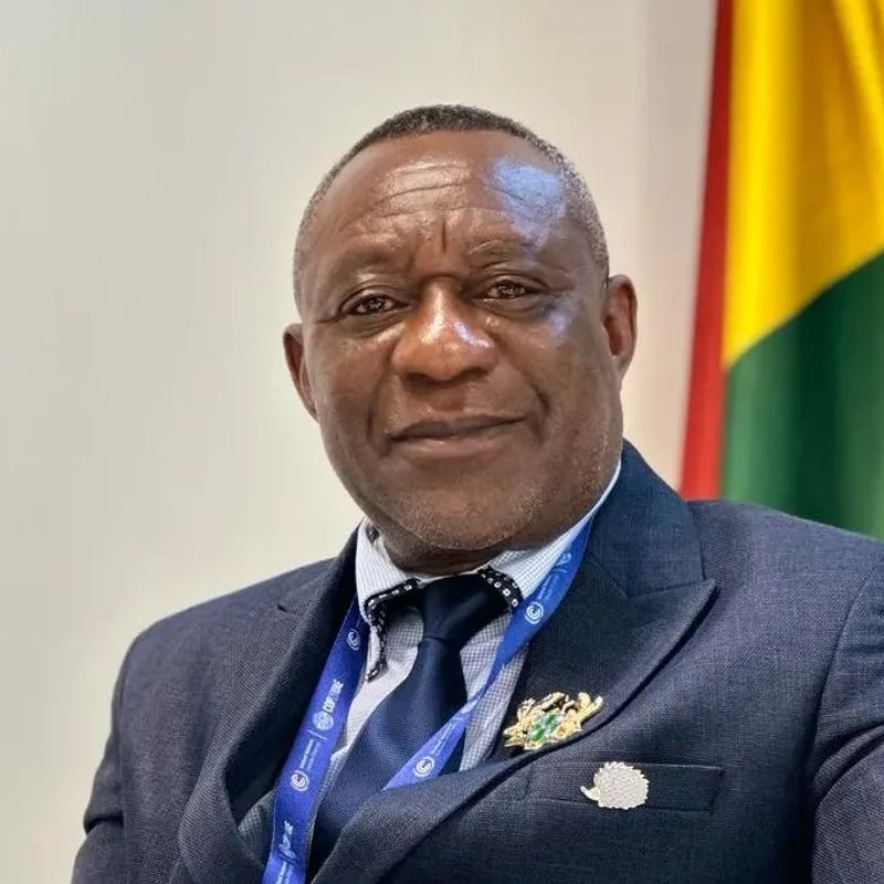 We are still not doing enough – Former EPA boss warns on environmental destruction