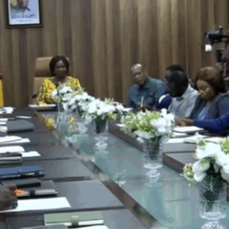 Government to review sale of public lands for value for money - Lands minister