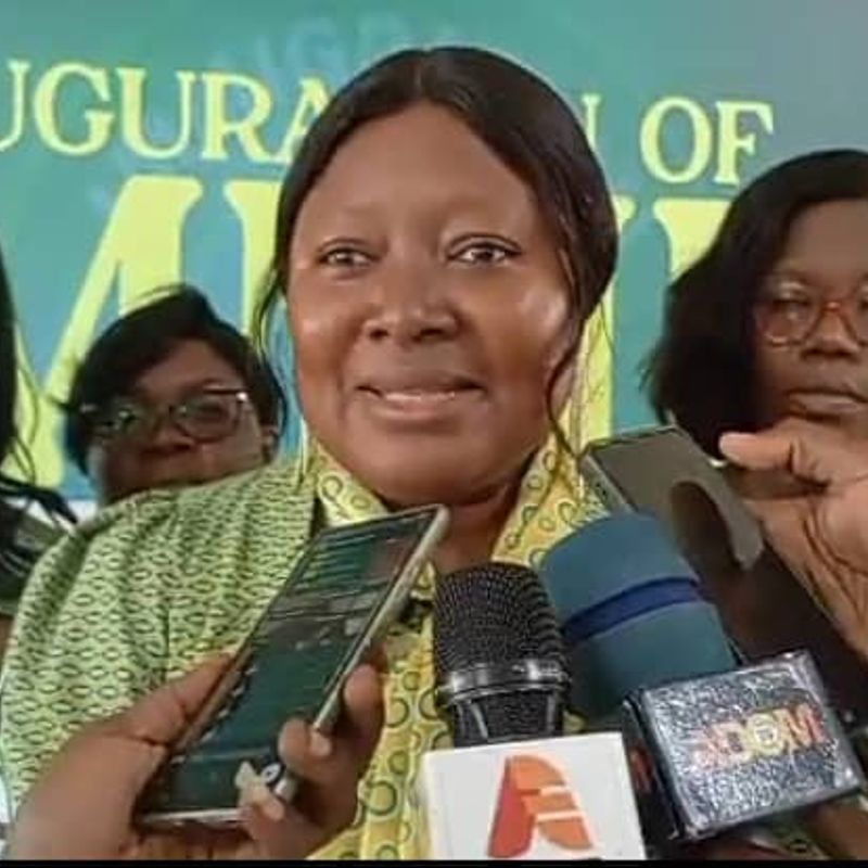 IMMILAC warns Ghanaians to stay vigilant against online scammers