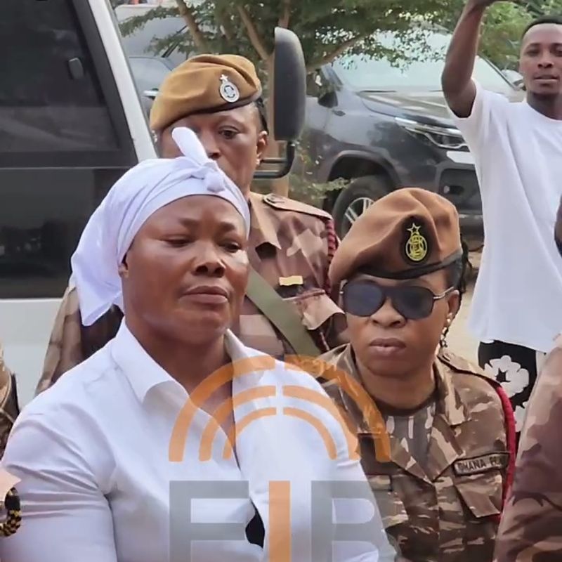 Amasaman High Court slashes Nana Agradaa’s 15-year jail term to 1-year