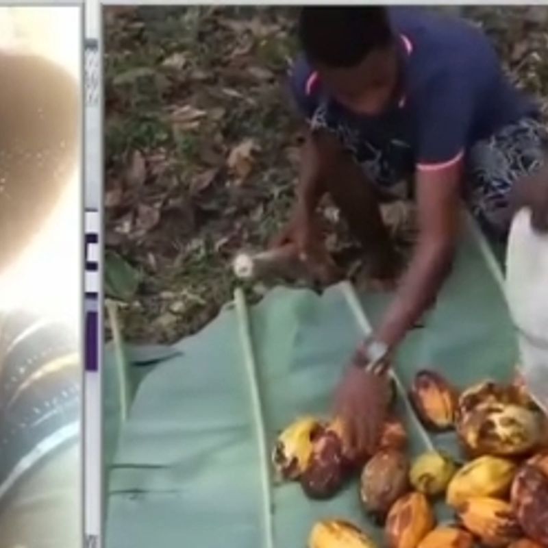 Concerned Farmers Association warns Cocoa farmers against selling land