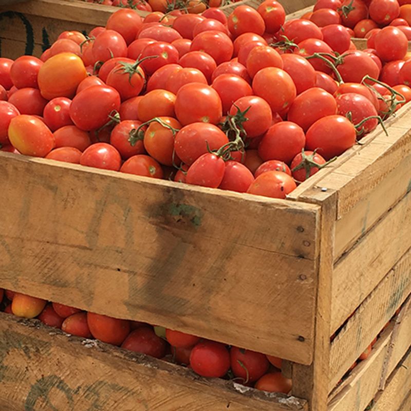 Govt to engage Burkina Faso authorities over tomato export ban, urges calm