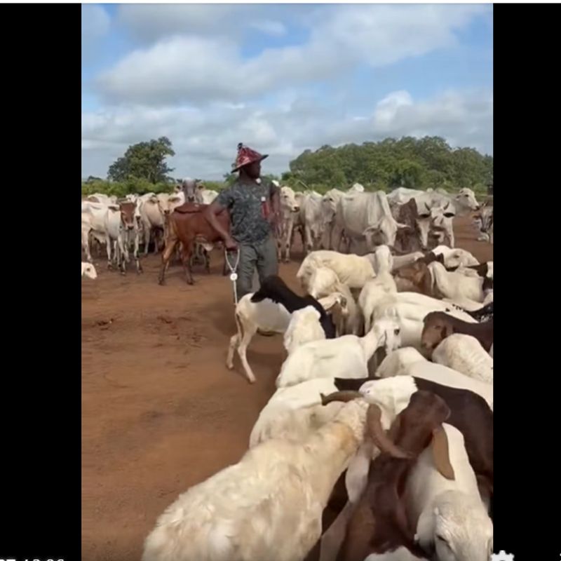 Energy Minister John Jinapor spends time with Malik Basintale at farm