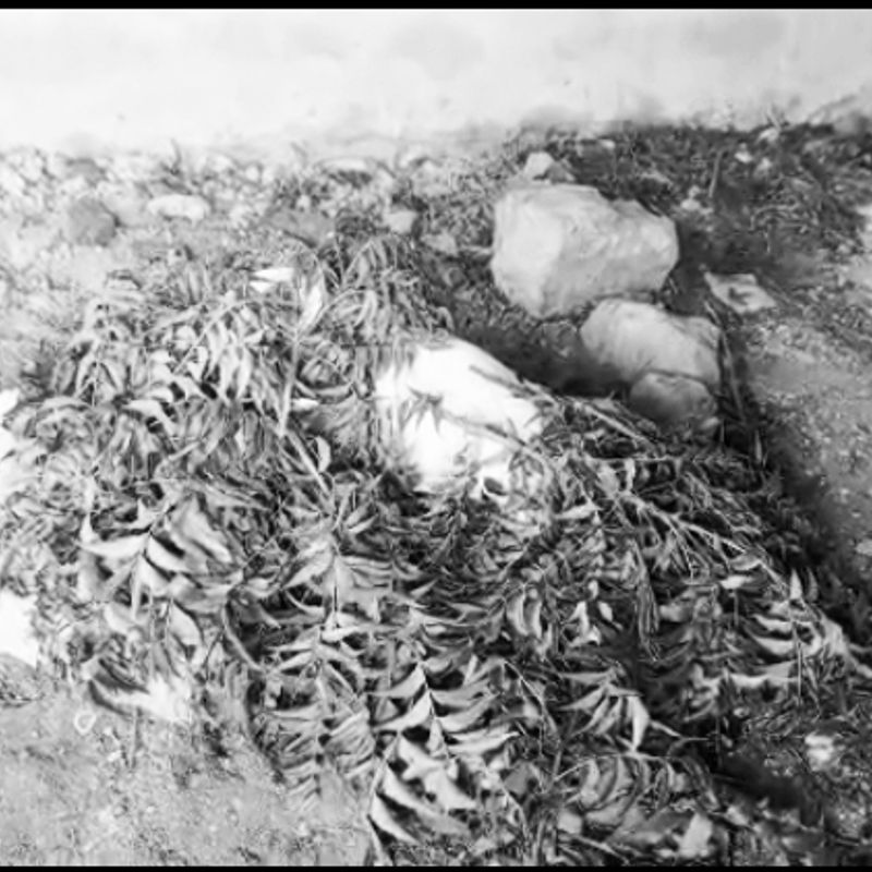 C/R:Tragic murder of married woman in Awutu Breku